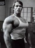 Arnold-Schwarzenegger-Massive-Chest